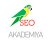 SEO Академия, Павел Шульга